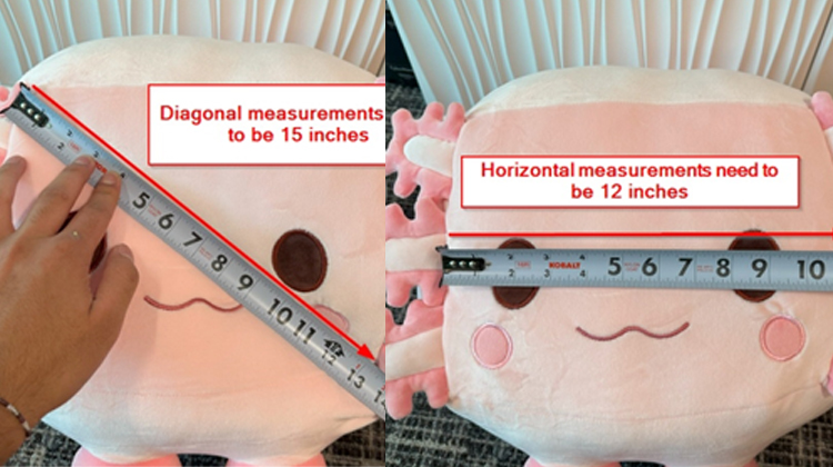 revision requirements